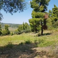 Земельный участок в Греции