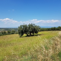 Land plot in Greece