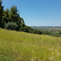 Land plot in Greece
