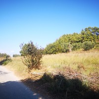 Land plot in Greece