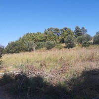 Land plot in Greece
