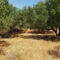 Земельный участок в Греции