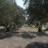 Другое в Греции, 120 кв.м.