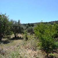 Земельный участок в Греции