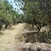 Земельный участок в Греции