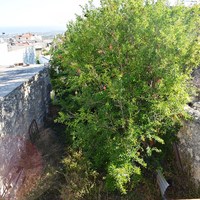 Другое в Греции, 100 кв.м.