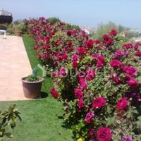 Вилла на Кипре, Пафос, 160 кв.м.