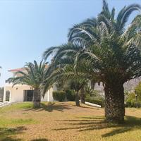 Вилла в Греции, 186 кв.м.