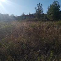 Land plot in Greece