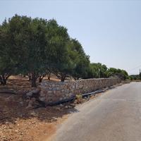 Land plot in Greece