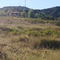Land plot in Greece