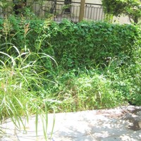 Townhouse in Greece, 140 sq.m.