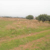 Land plot in Greece