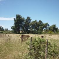 Land plot in Greece