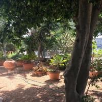 Other in Republic of Cyprus, 235 sq.m.