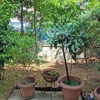 Таунхаус в Греции, 280 кв.м.