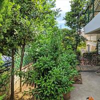 Таунхаус в Греции, 280 кв.м.