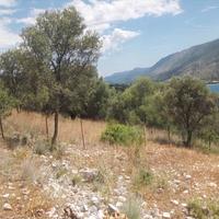 Land plot in Greece, 4280 sq.m.