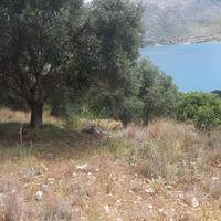 Land plot in Greece, 4142 sq.m.