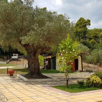 Other in Greece, 200 sq.m.