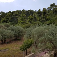 Other in Greece, 200 sq.m.