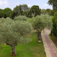 Other in Greece, 200 sq.m.