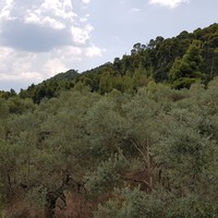 Other in Greece, 200 sq.m.