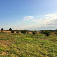 Другое в Греции, 410 кв.м.