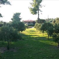 Other in Greece, 200 sq.m.