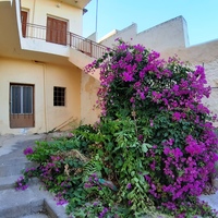 Другое в Греции, 180 кв.м.