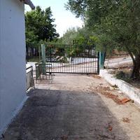 Other in Greece, 55 sq.m.