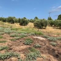Land plot in Greece
