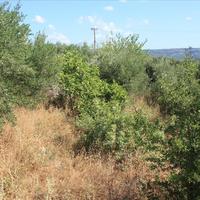 Land plot in Greece