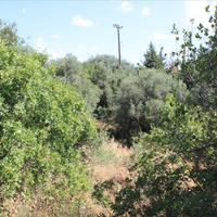 Land plot in Greece