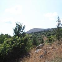 Land plot in Greece