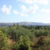 Land plot in Greece