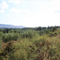 Land plot in Greece