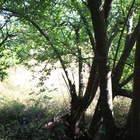 Other in Greece, 111 sq.m.