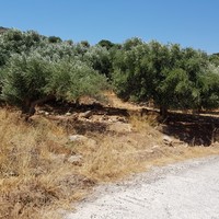 Land plot in Greece