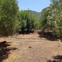 Земельный участок в Греции