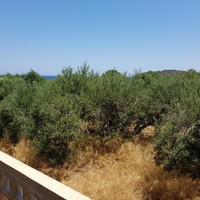 Business center in Greece, 183 sq.m.