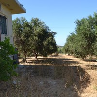 Flat in Greece, 100 sq.m.