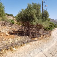Land plot in Greece