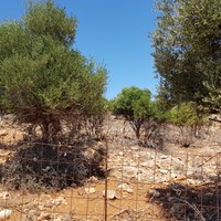 Land plot in Greece
