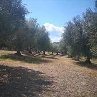 Other in Greece, 85 sq.m.