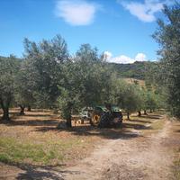 Other in Greece, 85 sq.m.