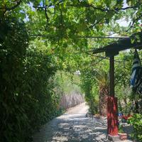 Other in Greece, 85 sq.m.