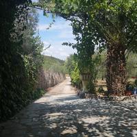 Other in Greece, 85 sq.m.