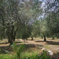 Other in Greece, 85 sq.m.