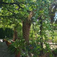 Other in Greece, 85 sq.m.